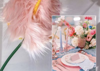 Styled SHOOTS Tampa Hotel Haya desinger inspo 9